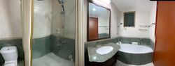 The Rivervale (D19), Condominium #588607281